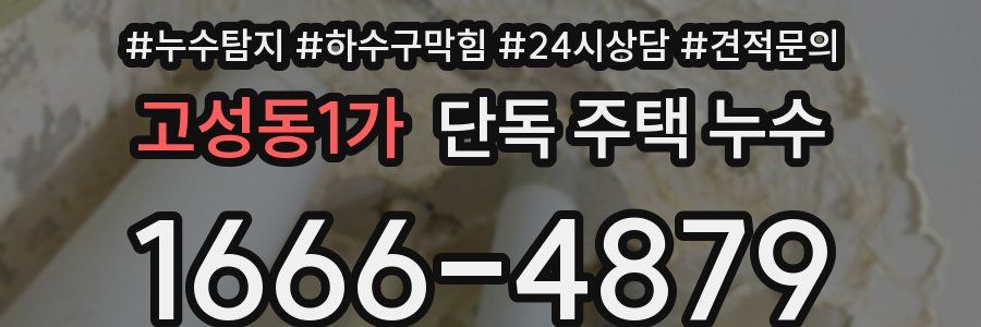 고성동1가 단독 주택 누수