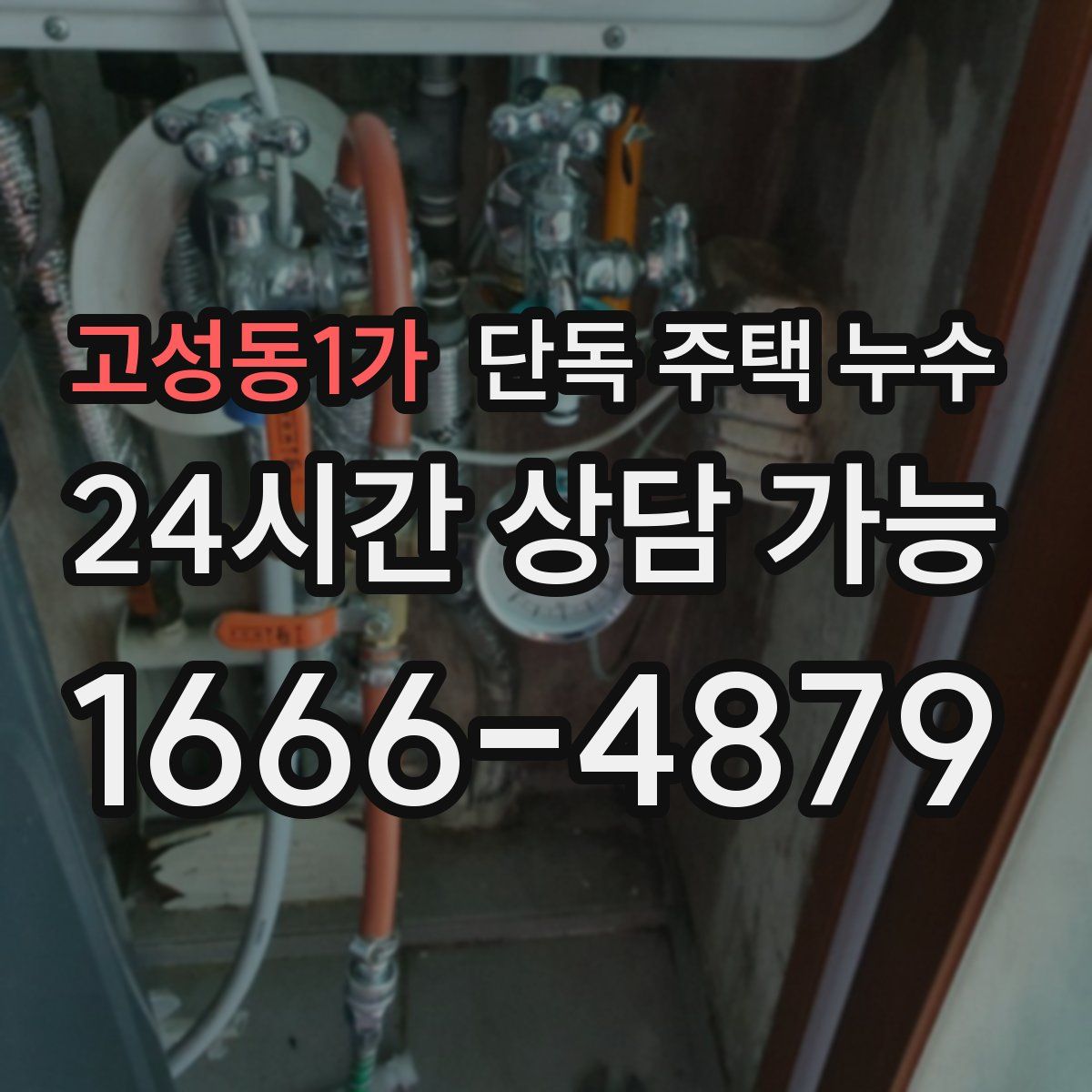 고성동1가 단독 주택 누수