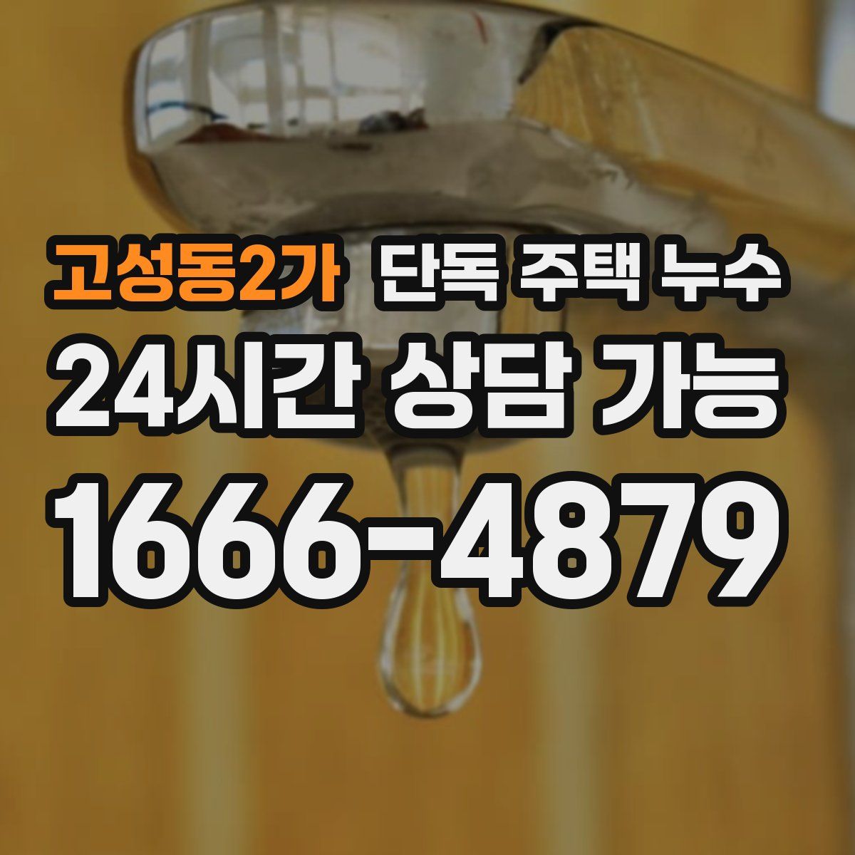 고성동2가 단독 주택 누수