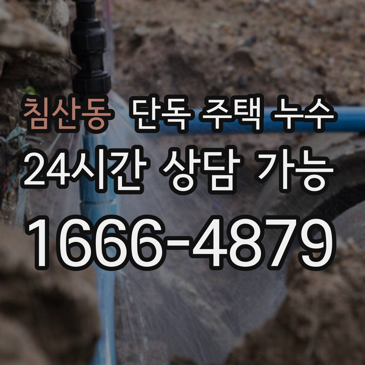 침산동 단독 주택 누수