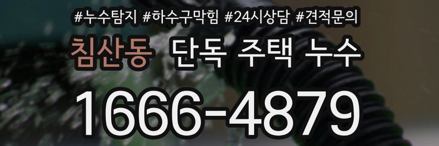 침산동 단독 주택 누수