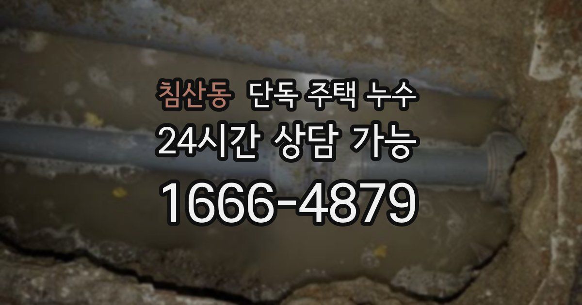 침산동 단독 주택 누수
