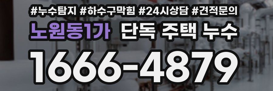 노원동1가 단독 주택 누수