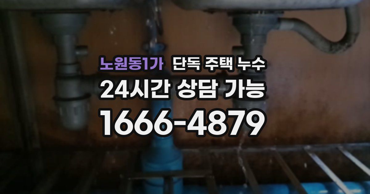노원동1가 단독 주택 누수