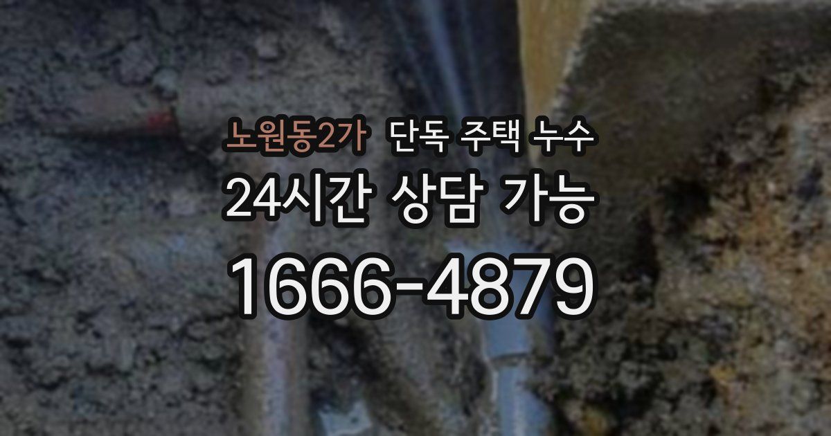 노원동2가 단독 주택 누수