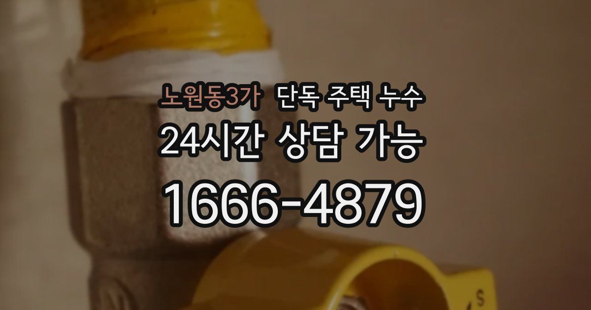 노원동3가 단독 주택 누수