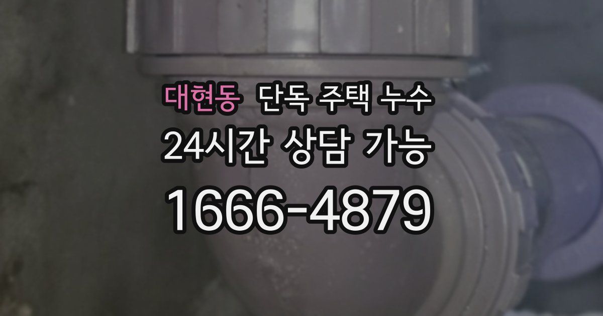 대현동 단독 주택 누수