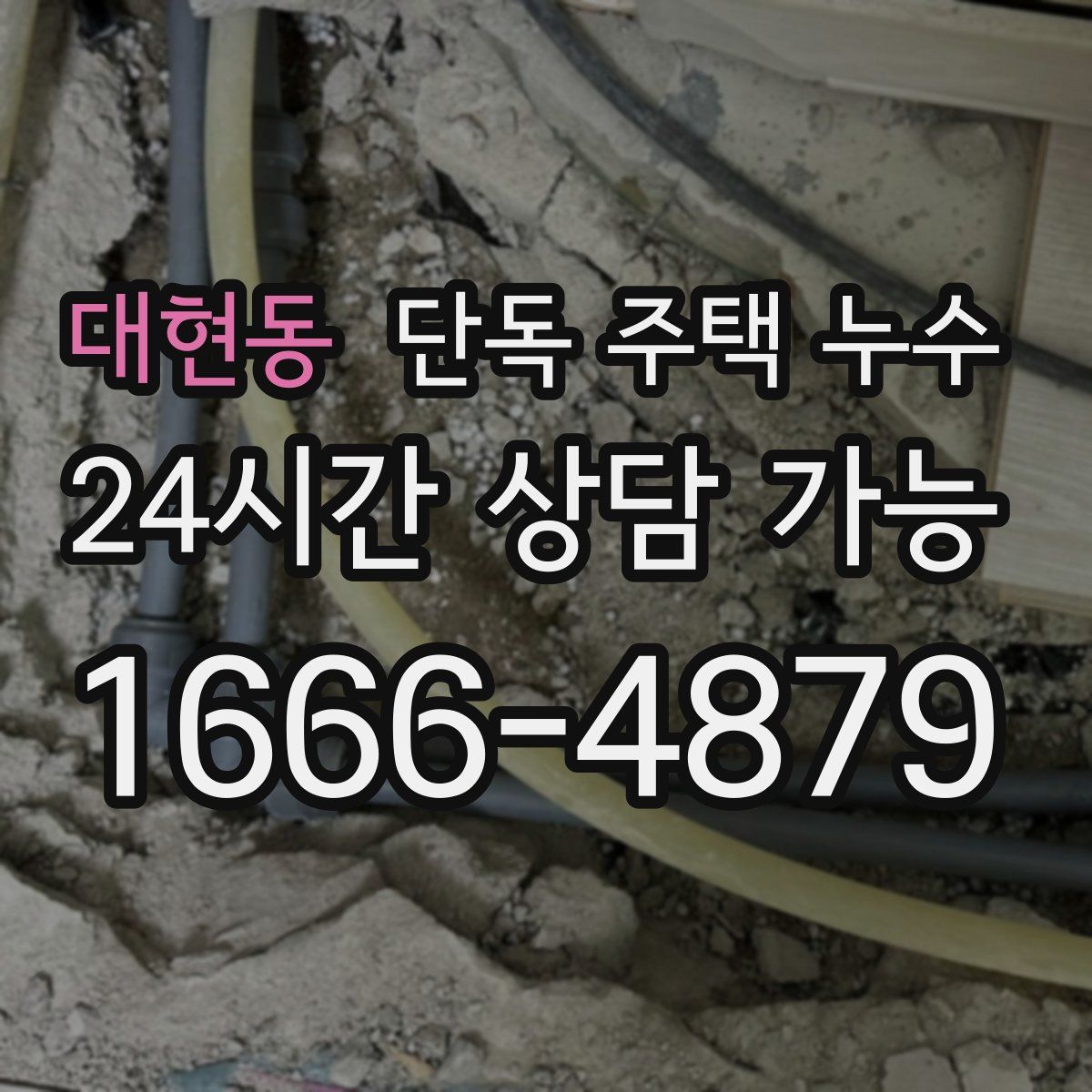 대현동 단독 주택 누수