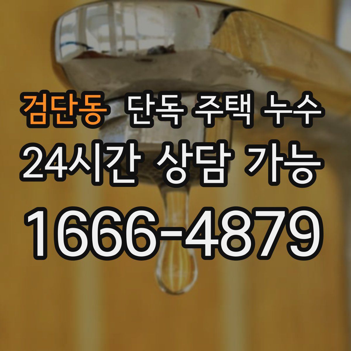 검단동 단독 주택 누수