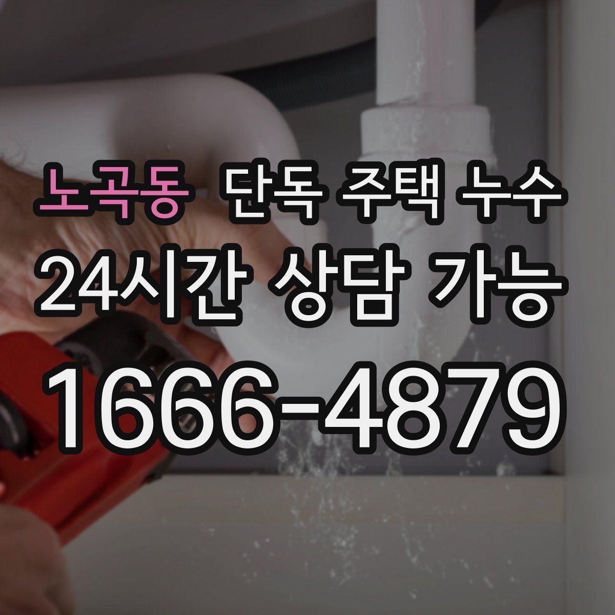 노곡동 단독 주택 누수