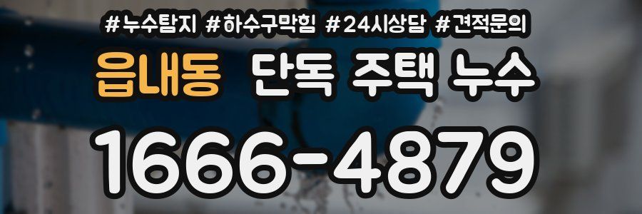 읍내동 단독 주택 누수