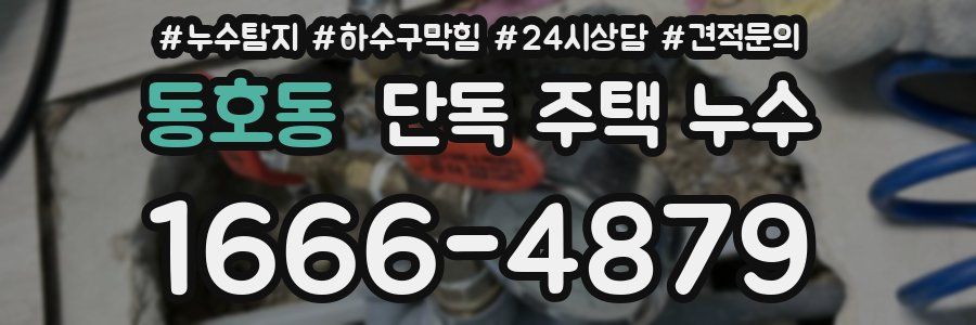 동호동 단독 주택 누수