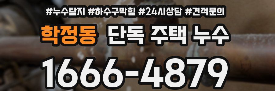 학정동 단독 주택 누수