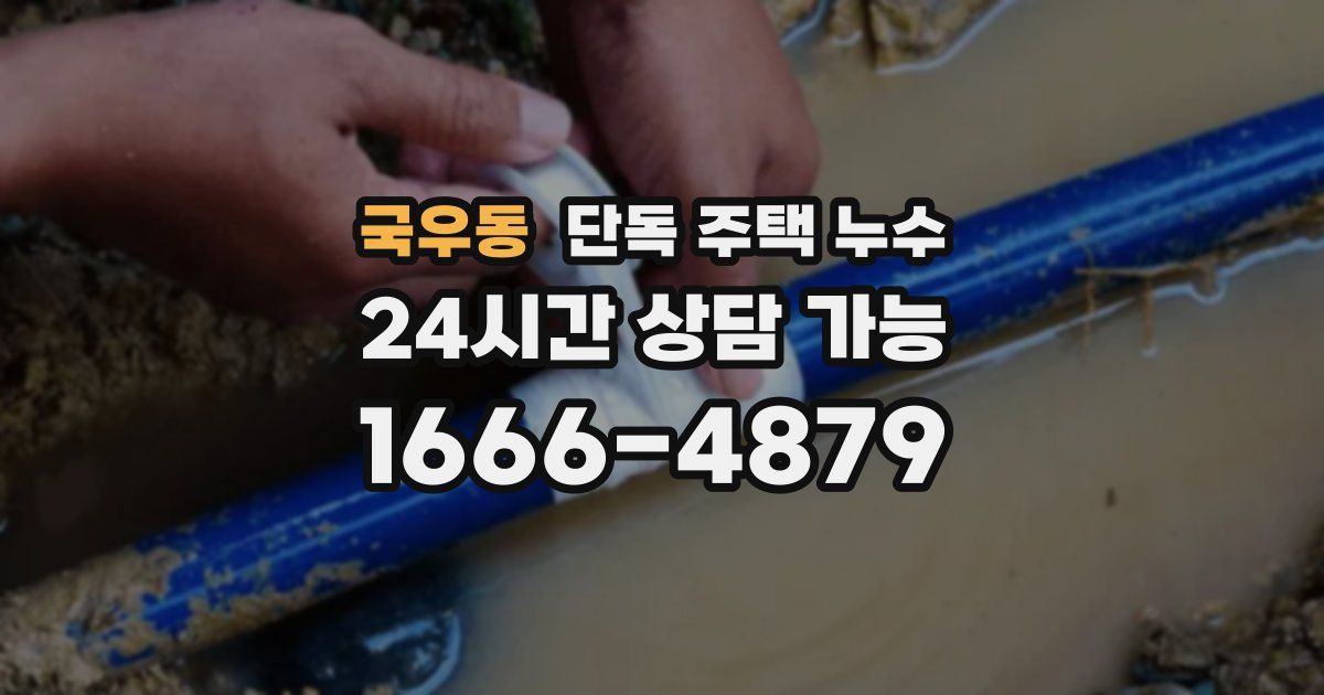 국우동 단독 주택 누수