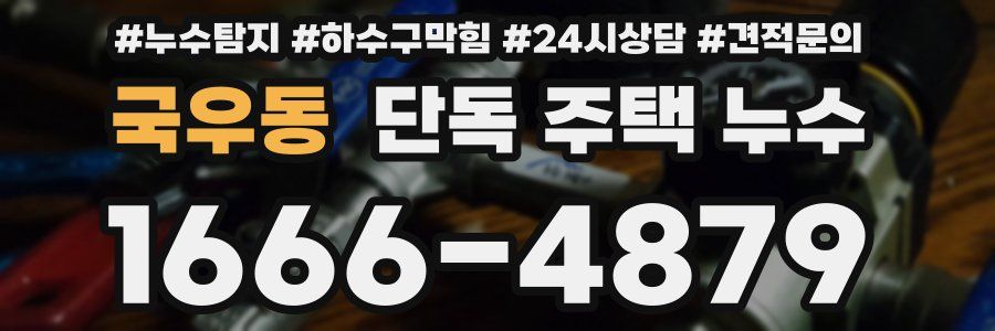 국우동 단독 주택 누수