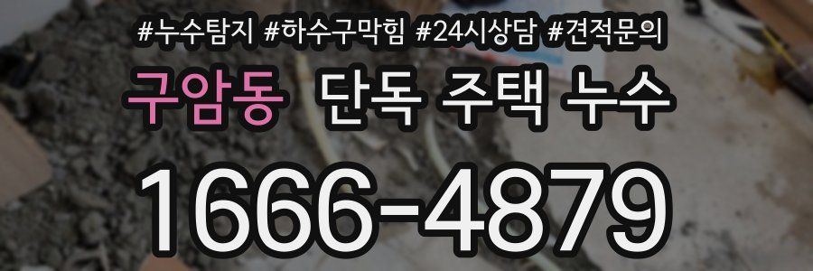 구암동 단독 주택 누수