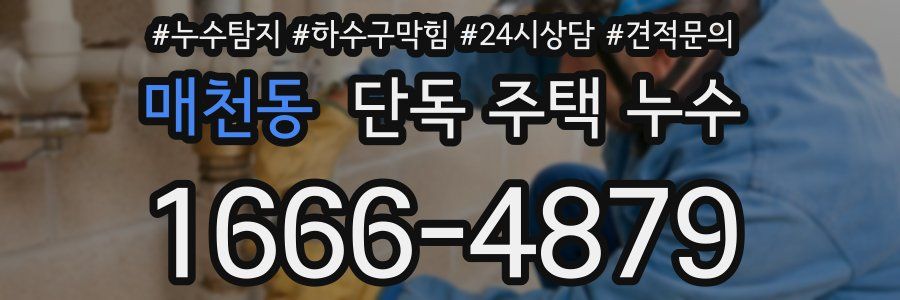 매천동 단독 주택 누수