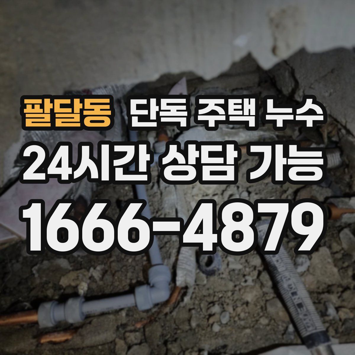 팔달동 단독 주택 누수