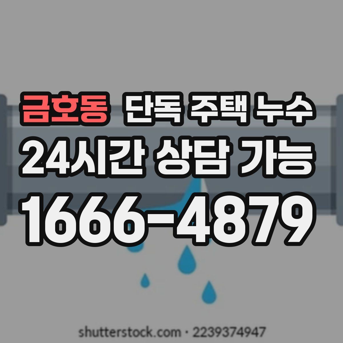 금호동 단독 주택 누수 배관 관통부 실링 점검의 핵심