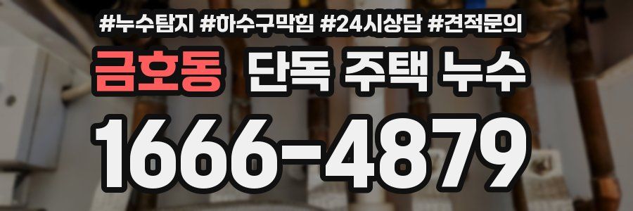 금호동 단독 주택 누수