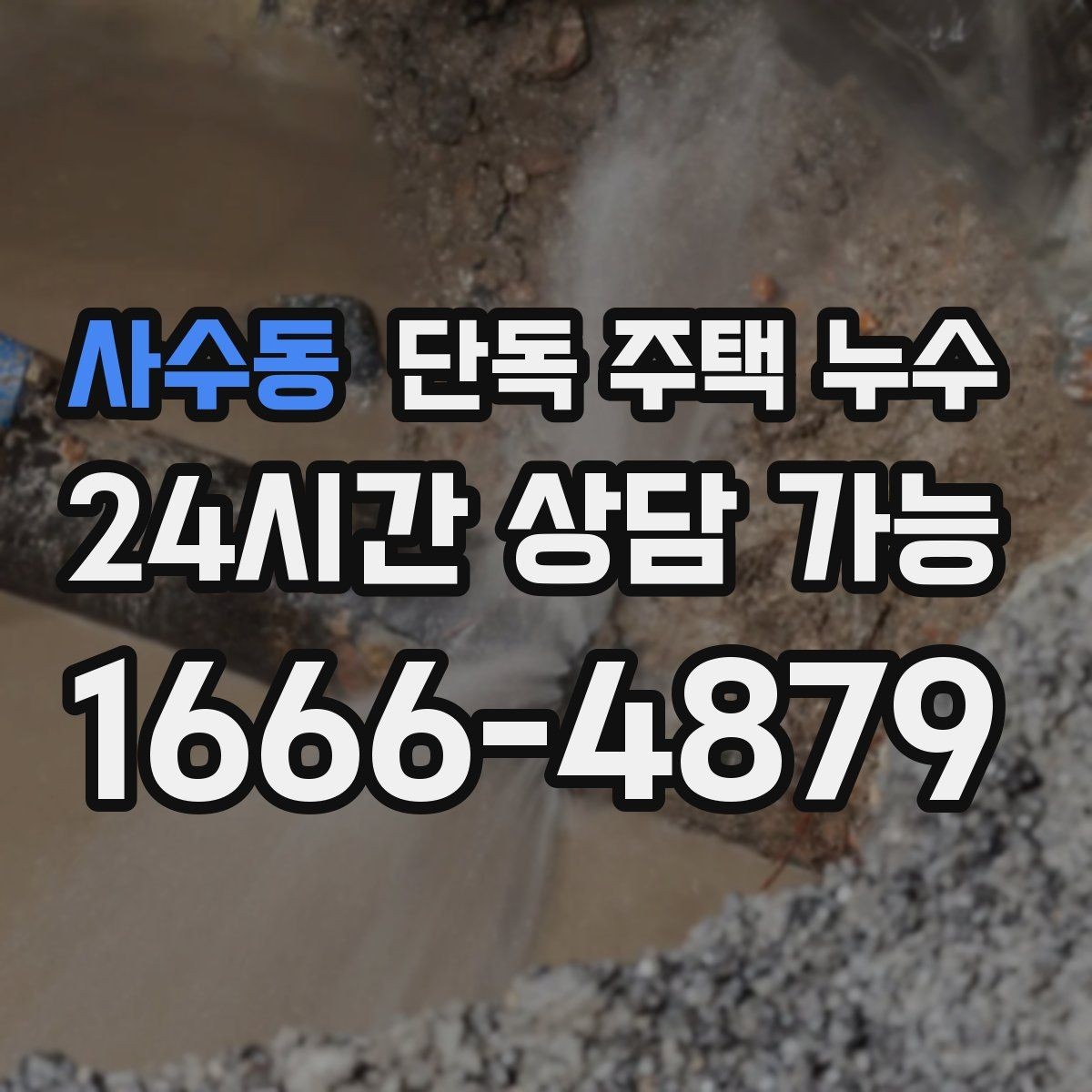 사수동 단독 주택 누수 마당 물 고임이 실내로 연결되는 이유