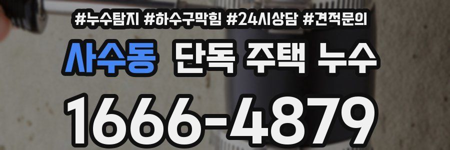 사수동 단독 주택 누수
