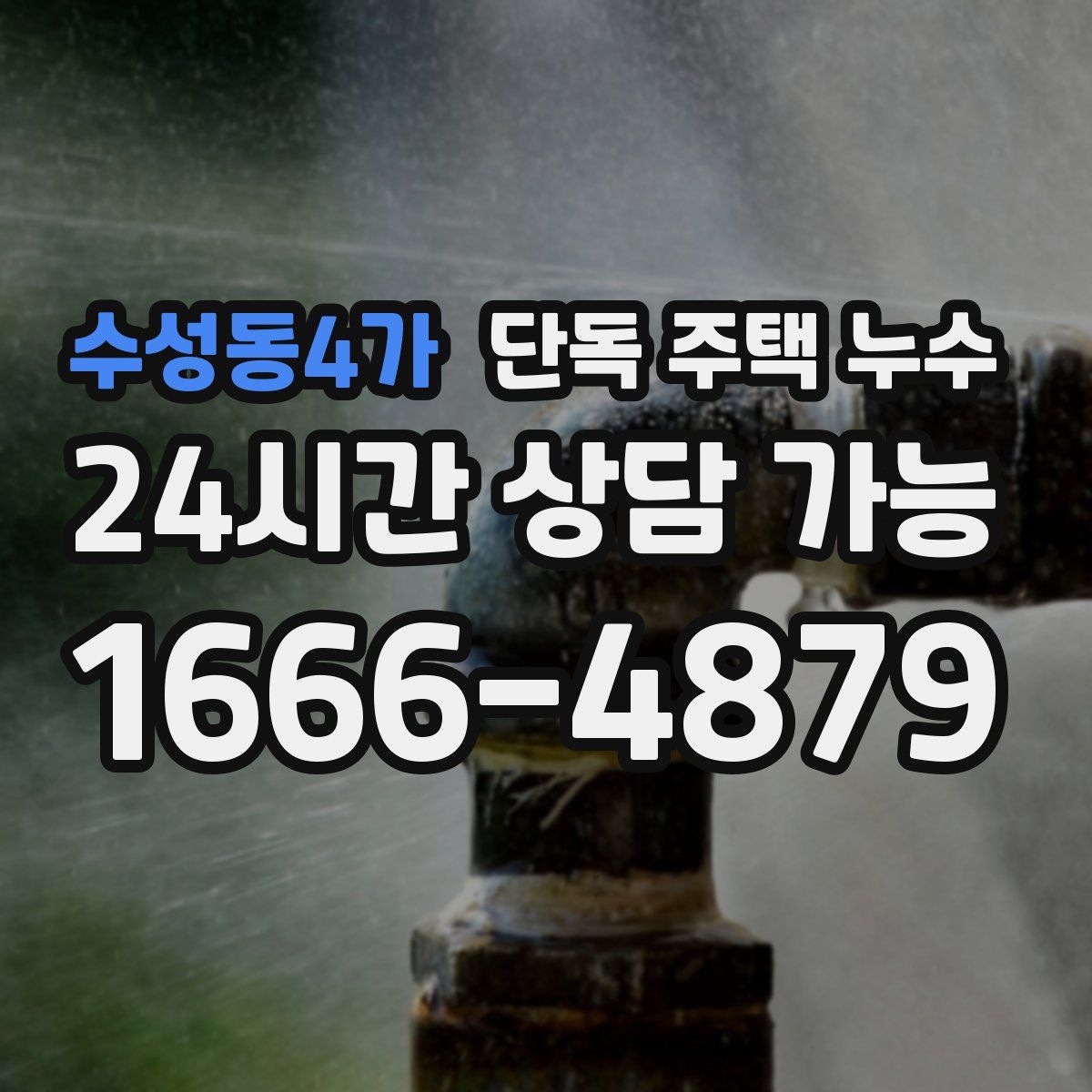 수성동4가 단독 주택 누수