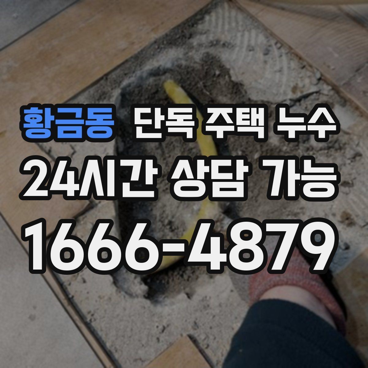 황금동 단독 주택 누수 안방 벽 모서리 곰팡이 반복될 때