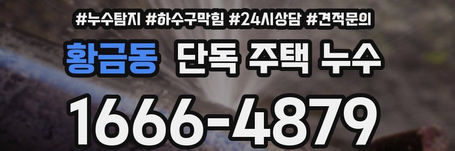 황금동 단독 주택 누수