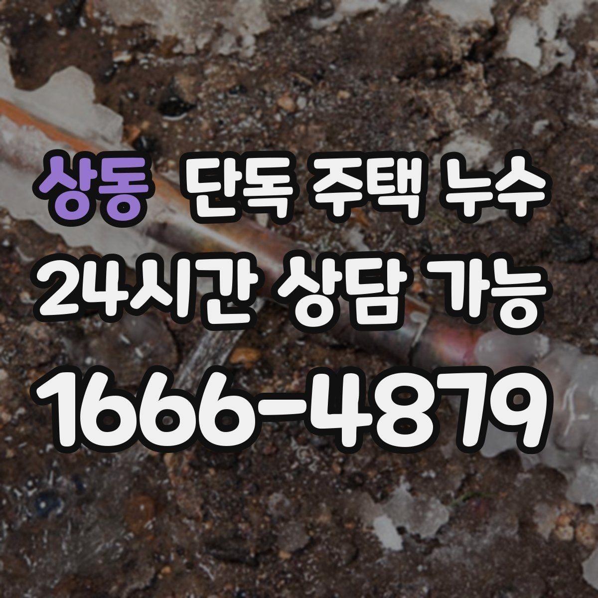 상동 단독 주택 누수 창고와 본채 연결부에서 새는 경우