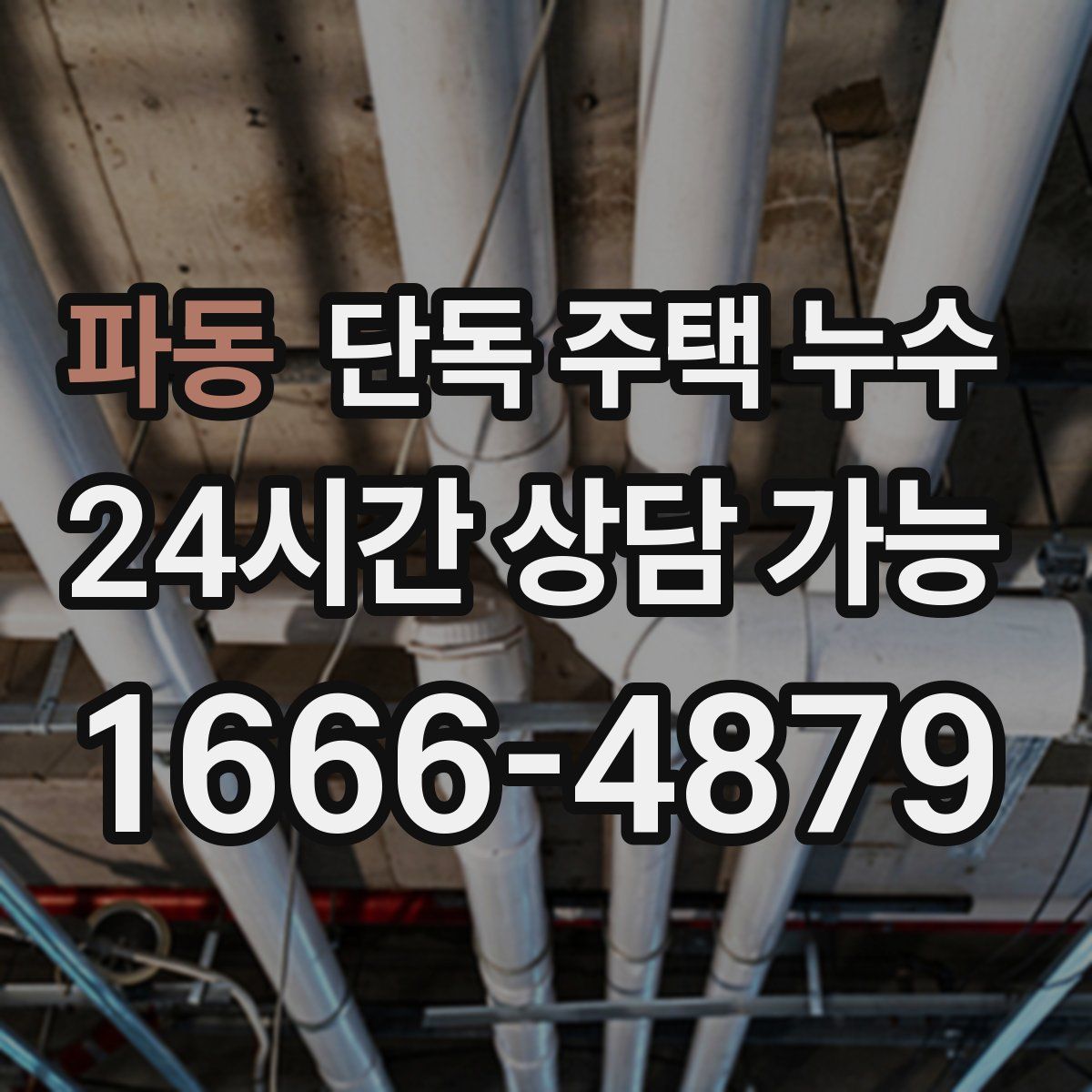 파동 단독 주택 누수