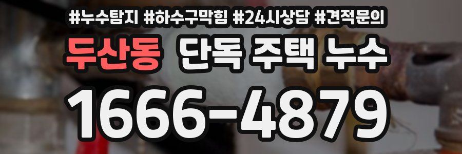 두산동 단독 주택 누수