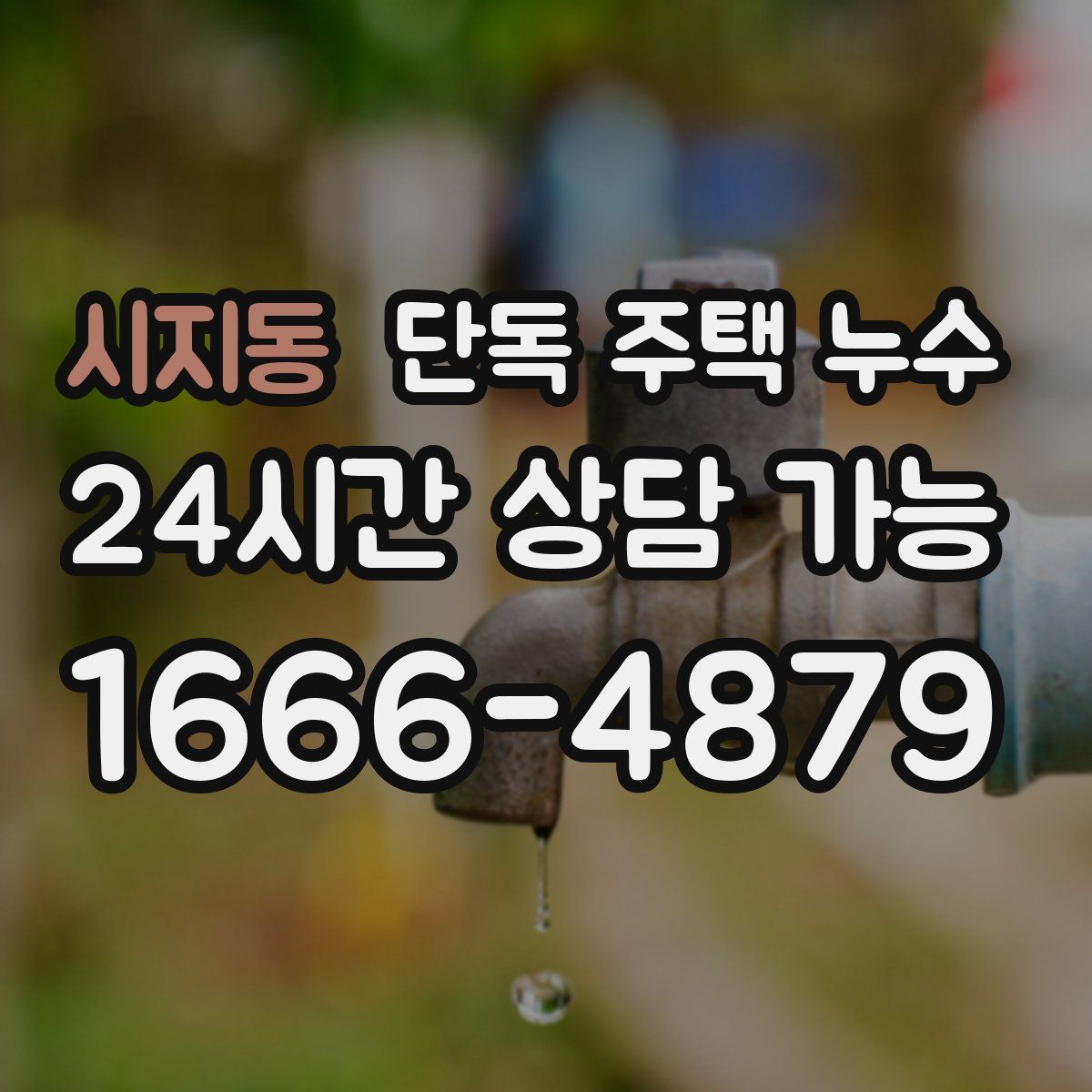 시지동 단독 주택 누수