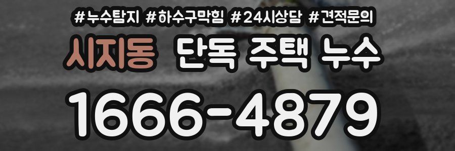 시지동 단독 주택 누수