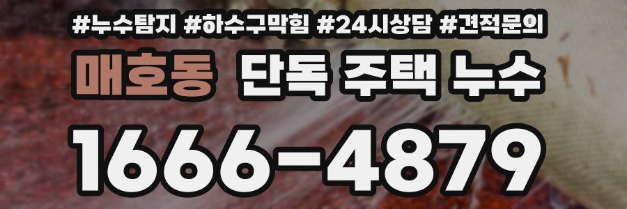 매호동 단독 주택 누수