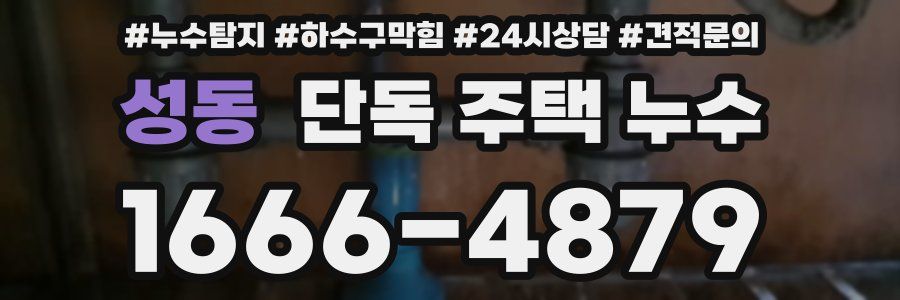 성동 단독 주택 누수