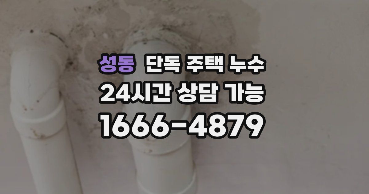 성동 단독 주택 누수