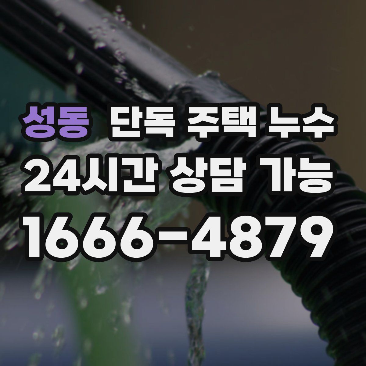 성동 단독 주택 누수