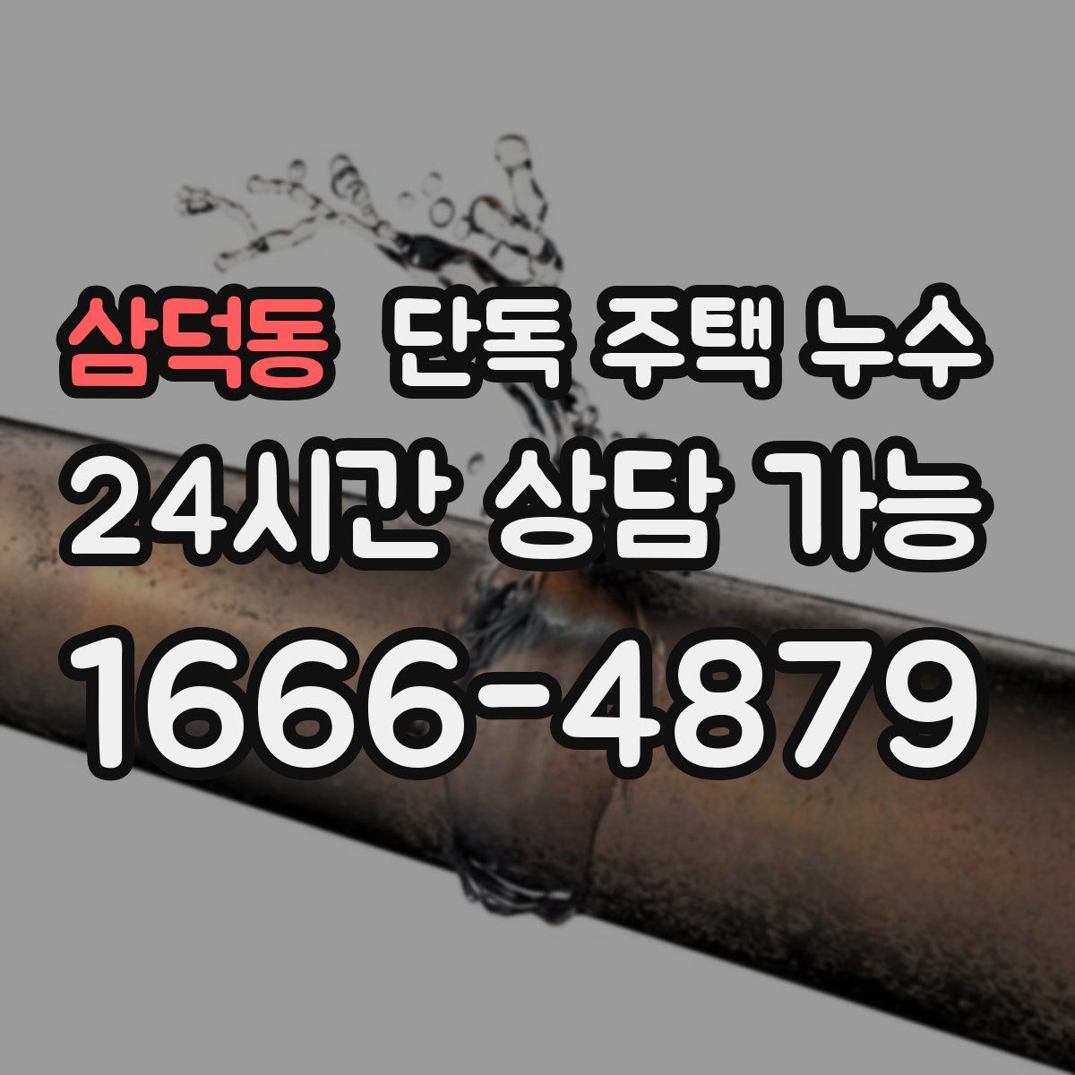 삼덕동 단독 주택 누수