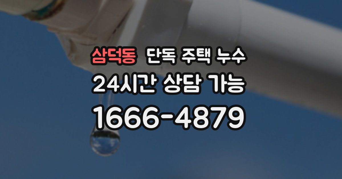 삼덕동 단독 주택 누수