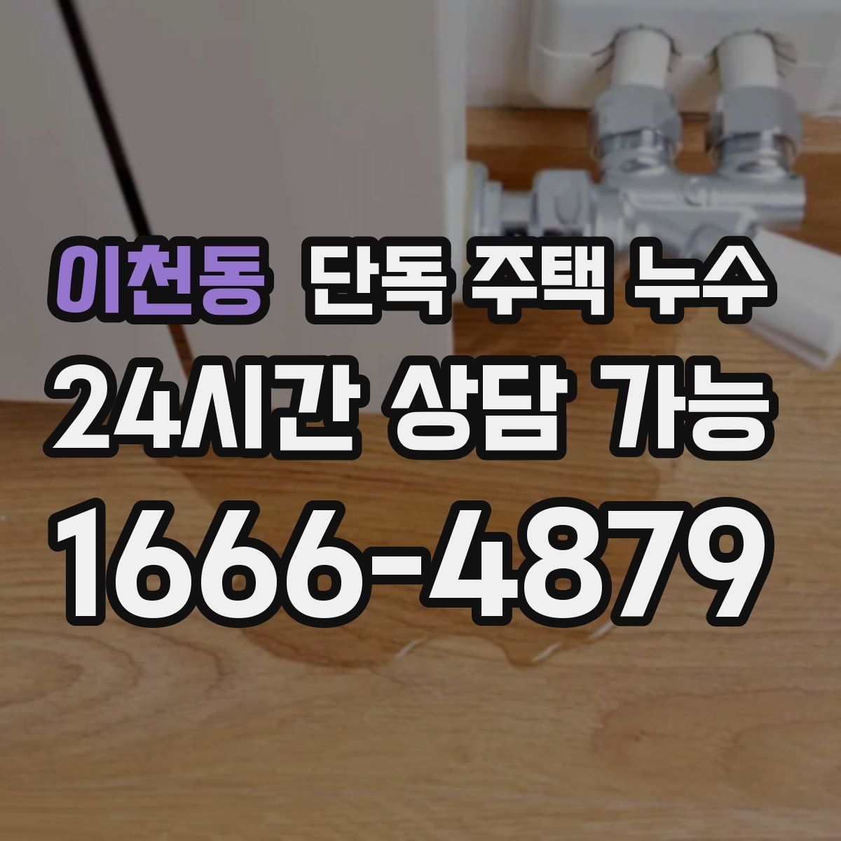 이천동 단독 주택 누수