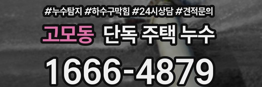 고모동 단독 주택 누수