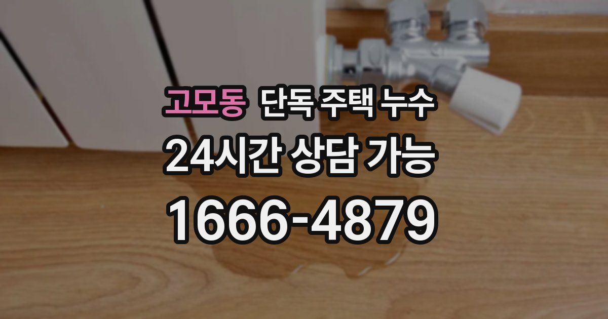 고모동 단독 주택 누수