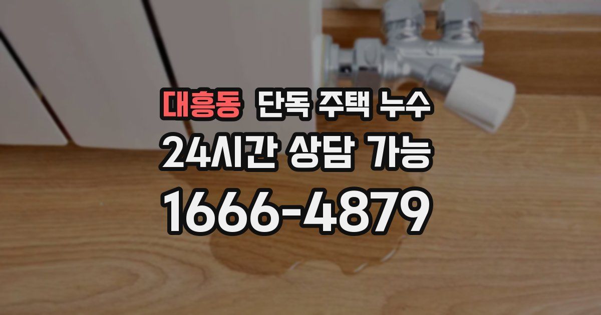 대흥동 단독 주택 누수