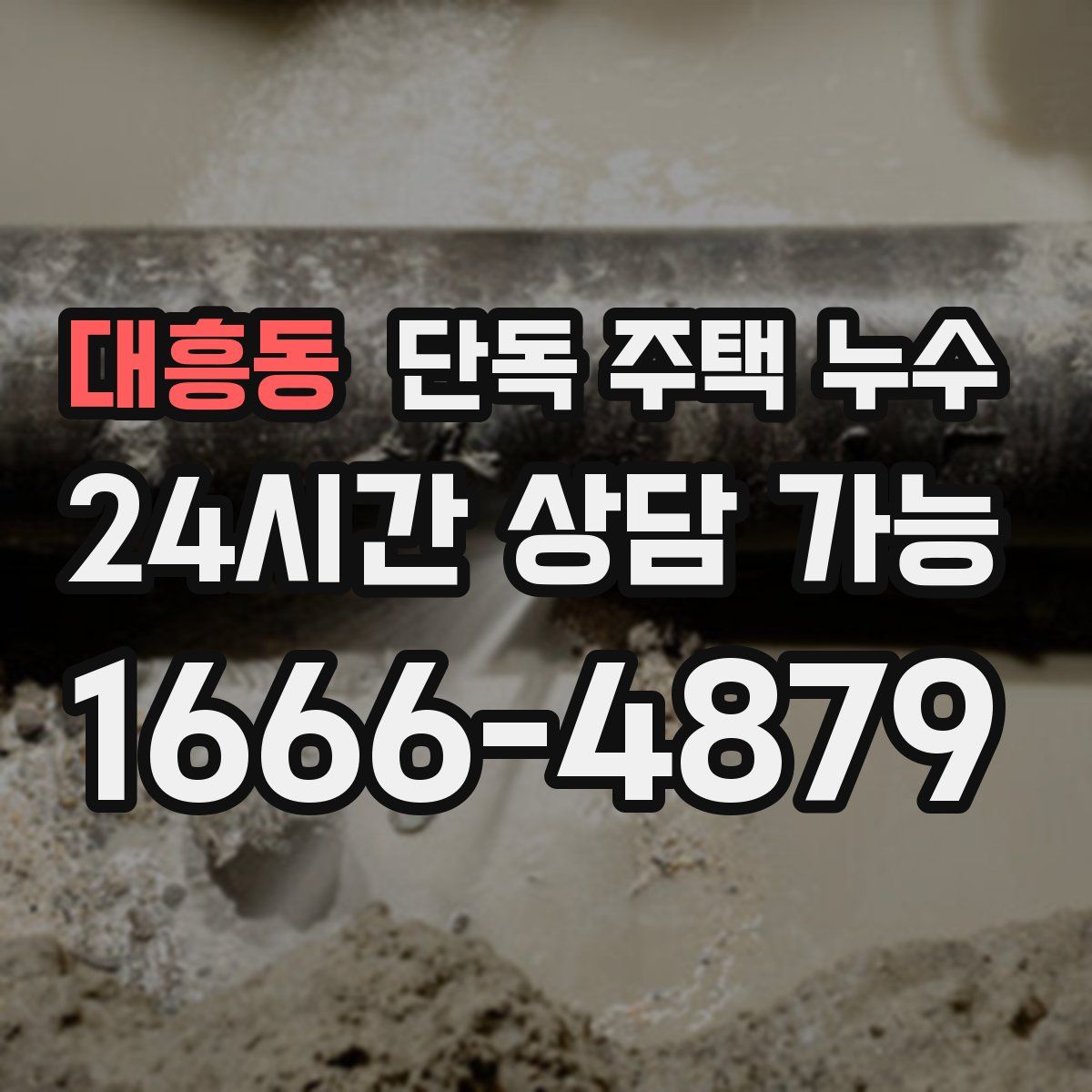 대흥동 단독 주택 누수