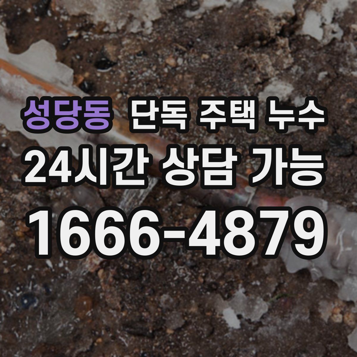 성당동 단독 주택 누수