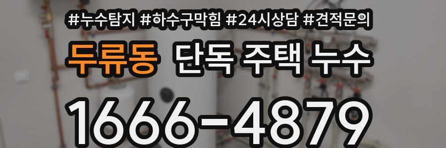 두류동 단독 주택 누수