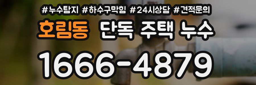호림동 단독 주택 누수