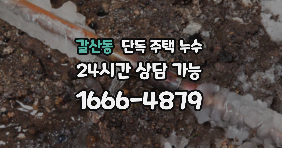 갈산동 단독 주택 누수