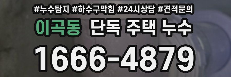 이곡동 단독 주택 누수